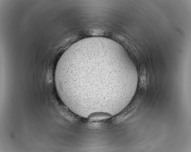 X0000110950620200907101308