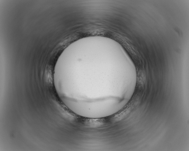 X0000110950622200907101308