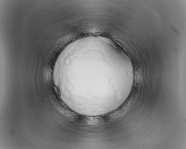 X0000110950623200907101308