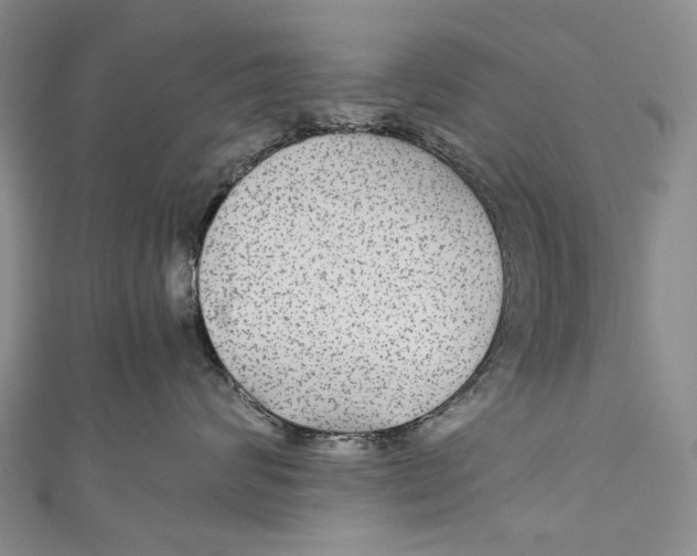 X0000110950624200907101308