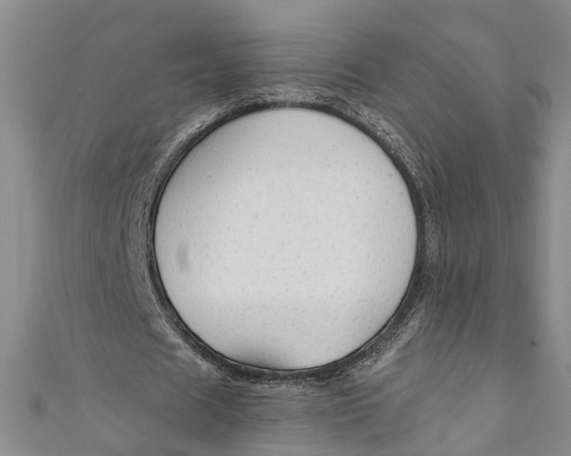 X0000110950625200907101308