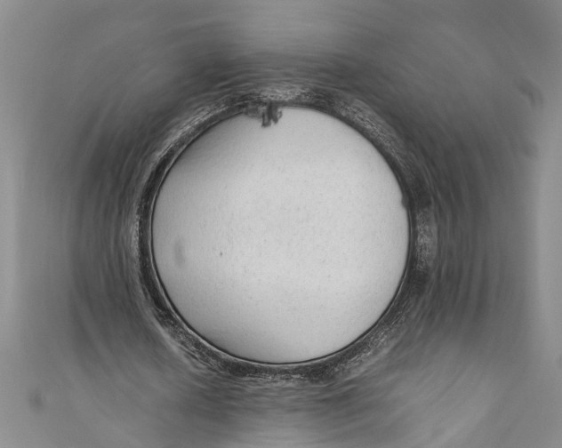 X0000110950626200907101308