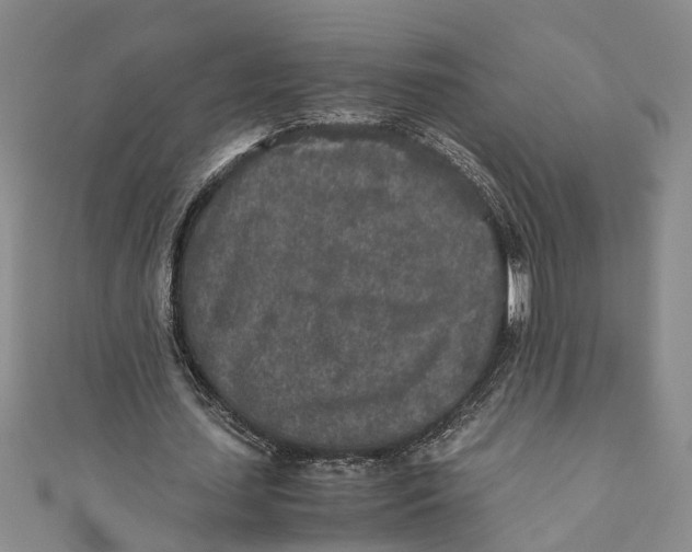 X0000110950627200907101308