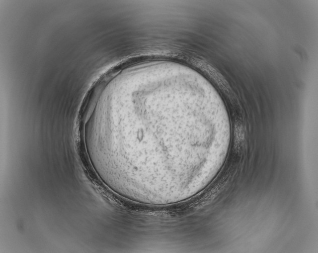 X0000110950628200907101308