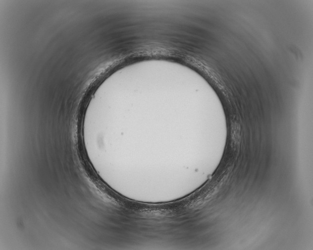 X0000110950629200907101308