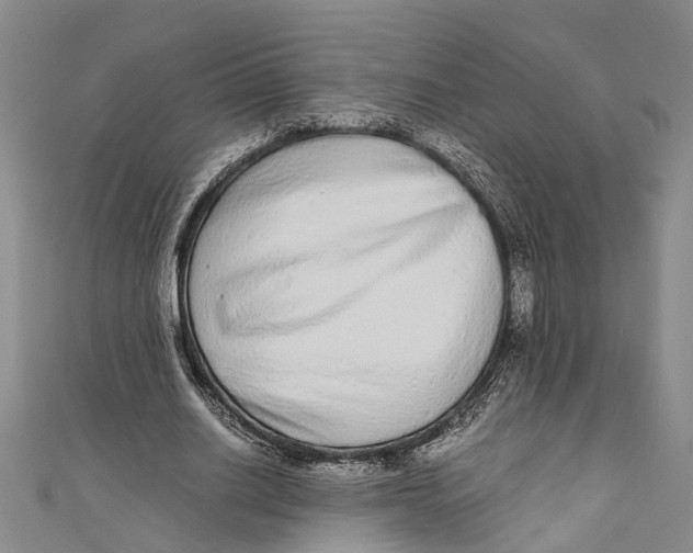 X0000110950630200907101308