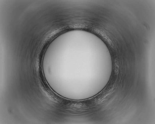 X0000110950631200907101308