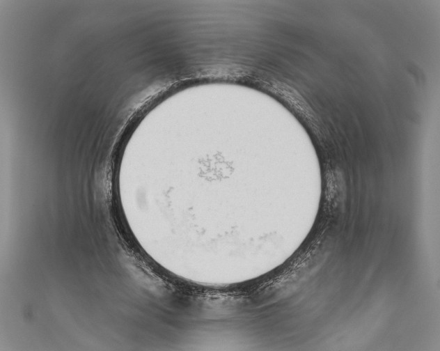 X0000110950632200907101308