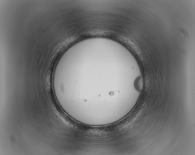 X0000110950633200907101308