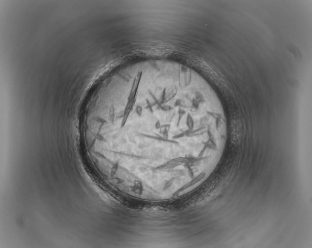 X0000110950634200907101308