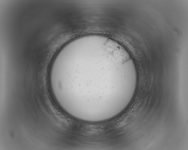 X0000110950635200907101308