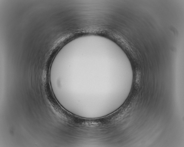 X0000110950636200907101308