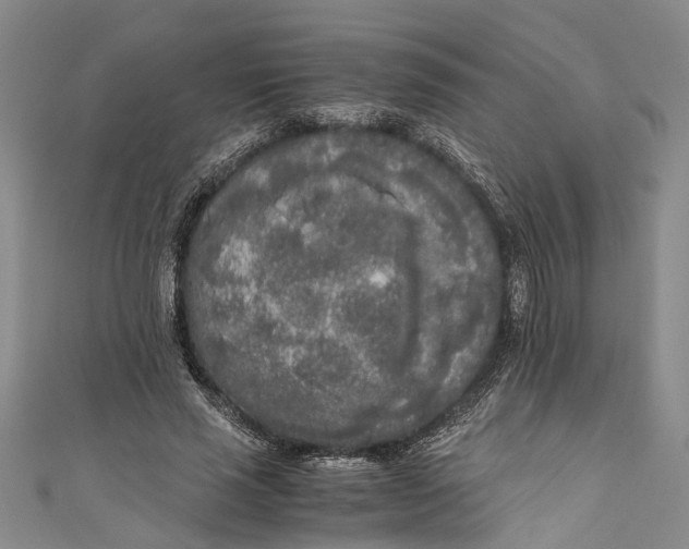 X0000110950637200907101308