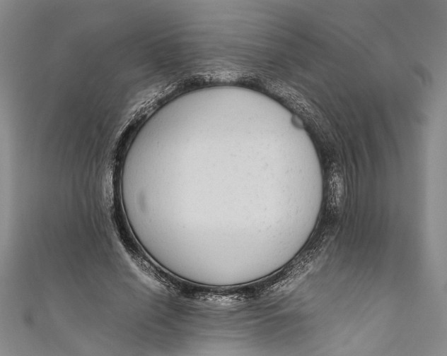 X0000110950638200907101308