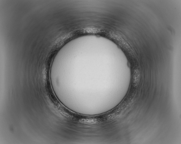 X0000110950639200907101308