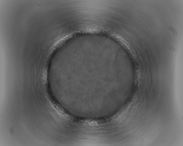 X0000110950640200907101308