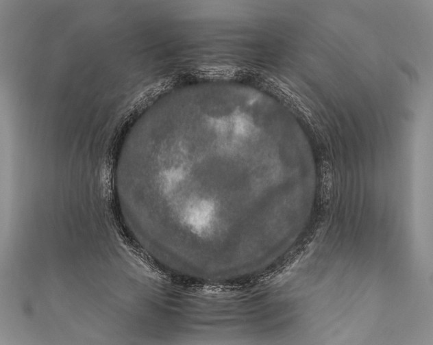 X0000110950641200907101308