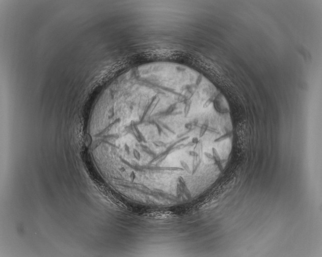 X0000110950642200907101308