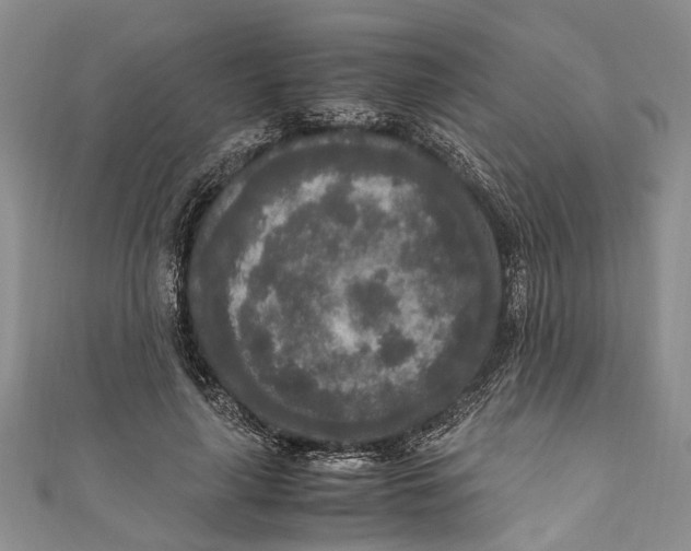 X0000110950643200907101308