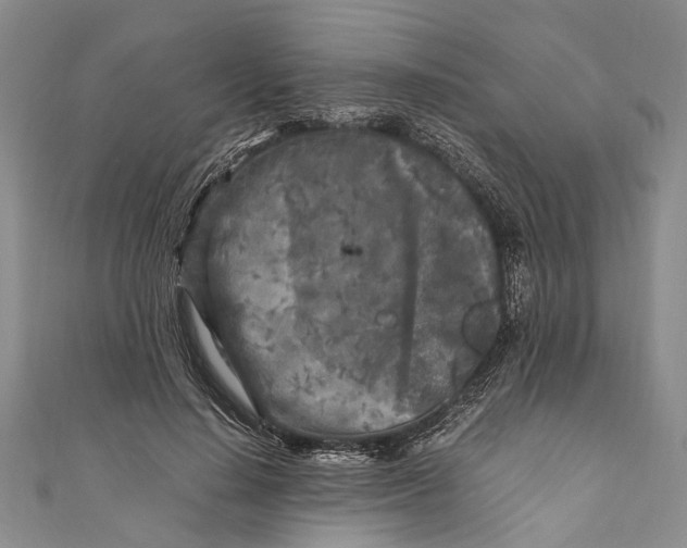 X0000110950644200907101308