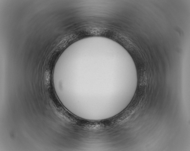 X0000110950646200907101308