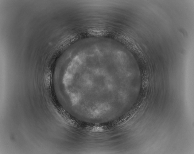 X0000110950647200907101308