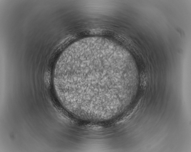 X0000110950648200907101308