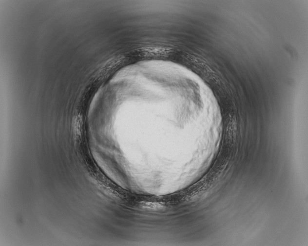 X0000110950649200907101308