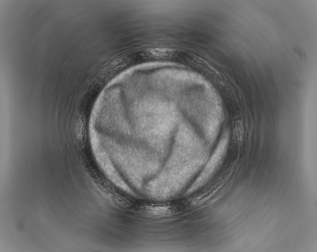 X0000110950651200907101308