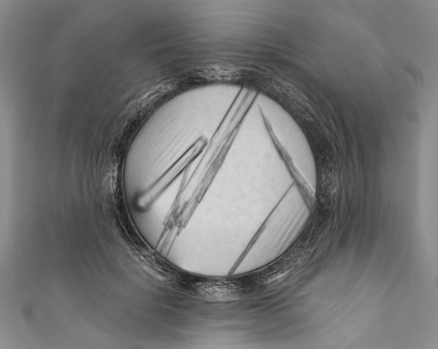 X0000110950652200907101308