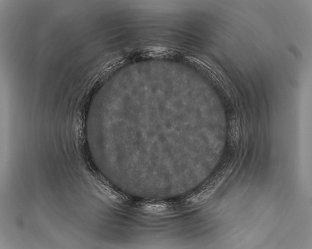 X0000110950653200907101308