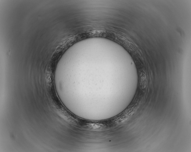 X0000110950654200907101308