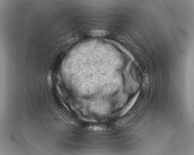 X0000110950655200907101308