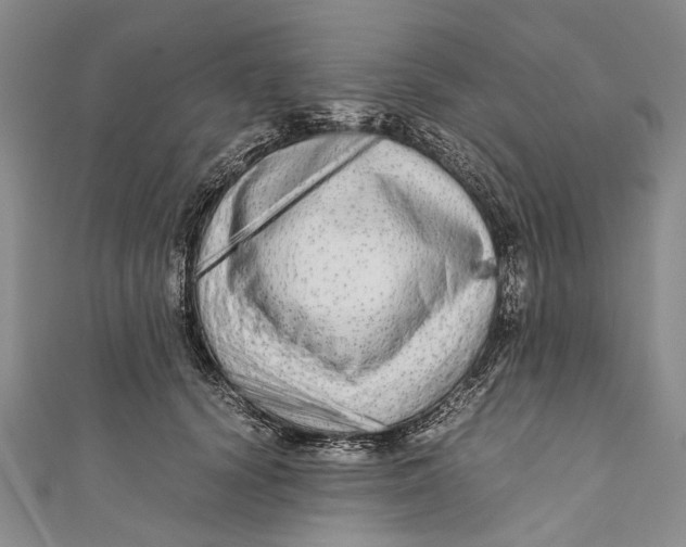 X0000110950656200907101308