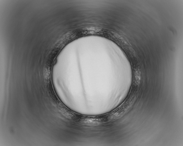 X0000110950657200907101308