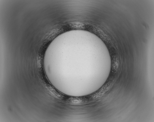 X0000110950658200907101308