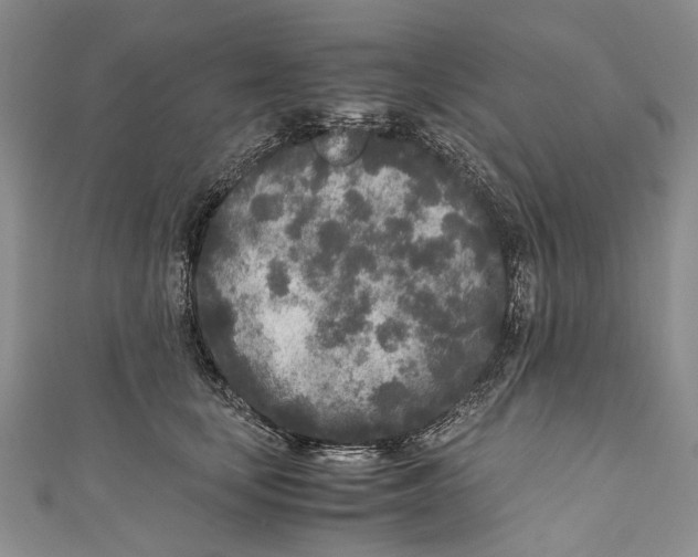 X0000110950659200907101308