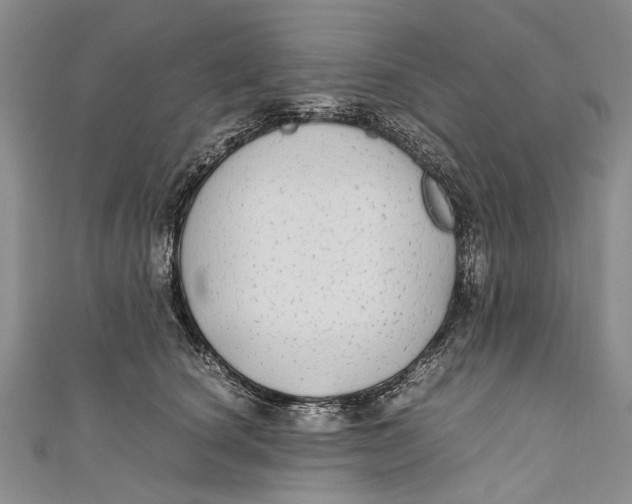 X0000110950660200907101308