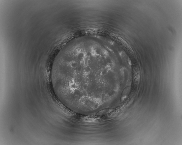 X0000110950661200907101308