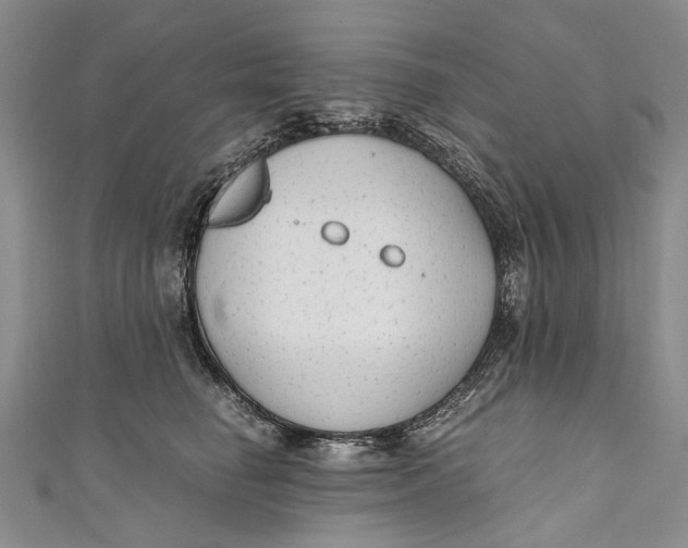 X0000110950662200907101308