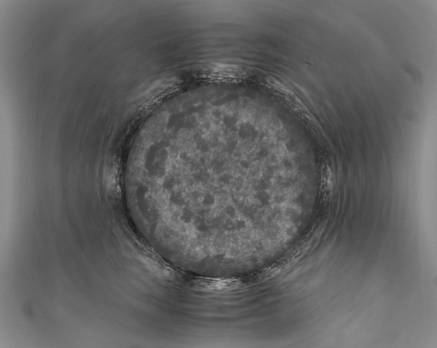 X0000110950663200907101308