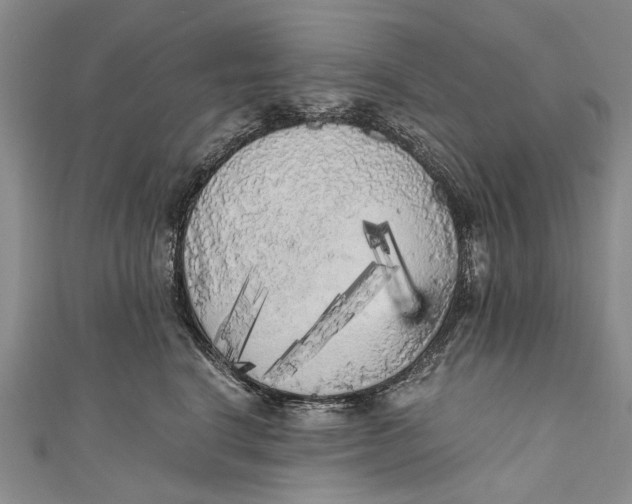 X0000110950664200907101308