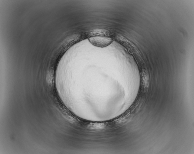 X0000110950665200907101308