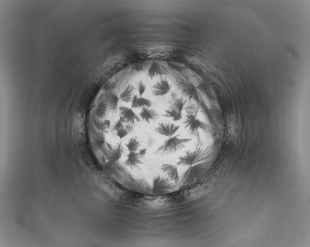 X0000110950667200907101308