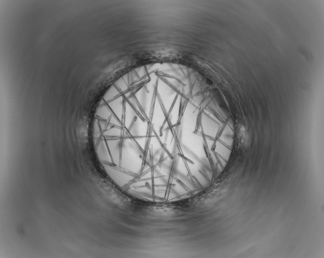 X0000110950668200907101308