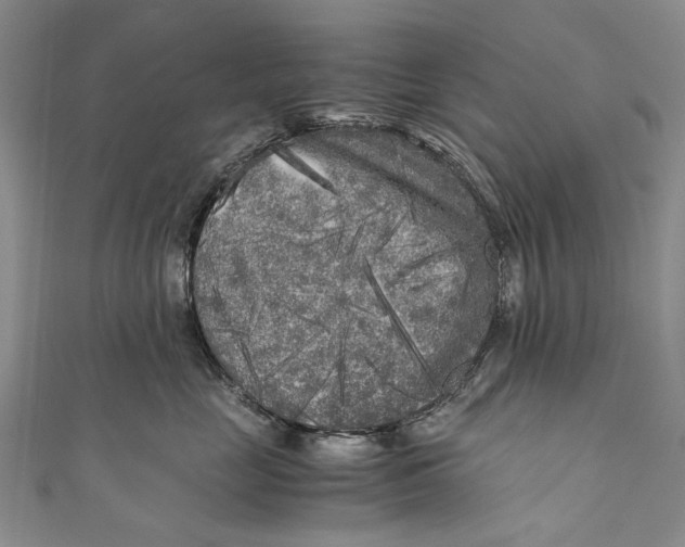 X0000110950669200907101308