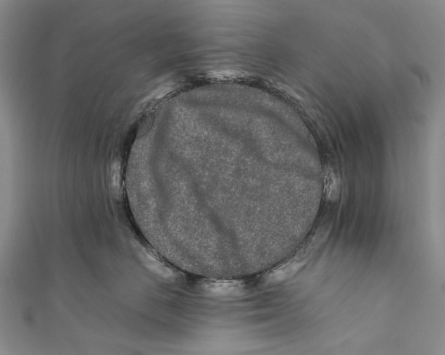 X0000110950670200907101308