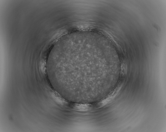 X0000110950671200907101308