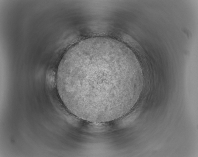 X0000110950672200907101308