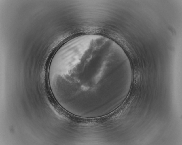 X0000110950674200907101308